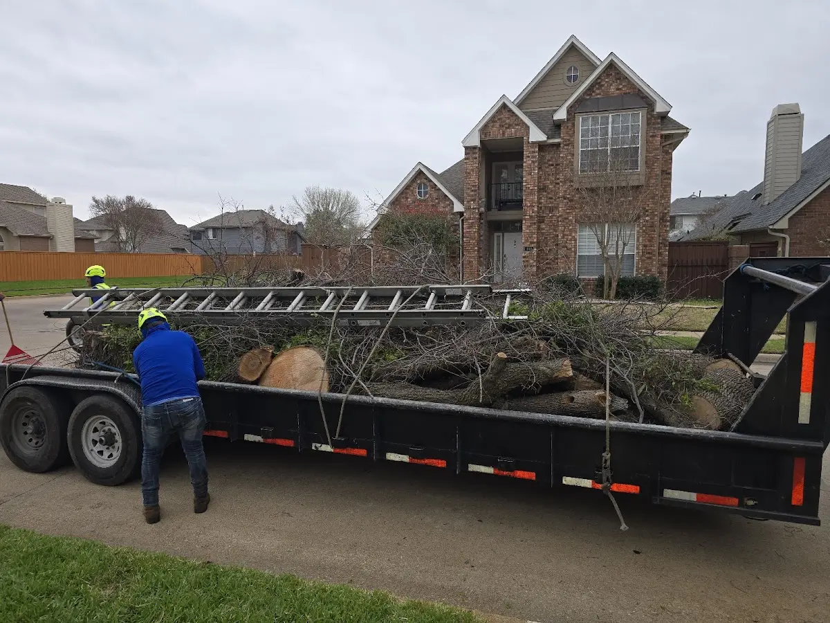 Expert Tree Fertilization with proper safety equipment in Maryland Line
